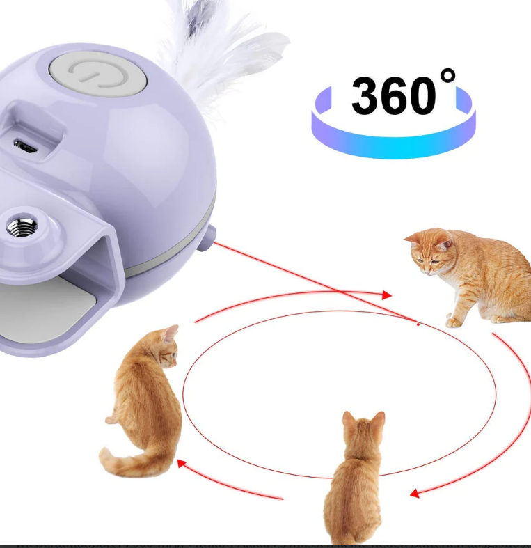 DADYPET Interaktives Katzenspielzeug, 2-in-1