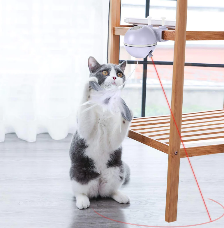 DADYPET Interaktives Katzenspielzeug, 2-in-1