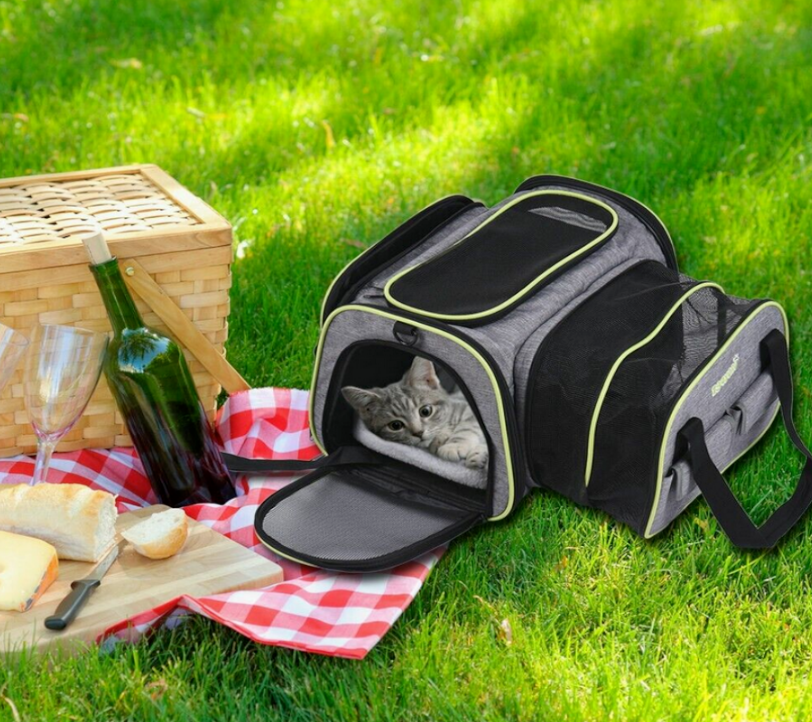 Dadypet Hunde / Katzentransportbox Transporttasche