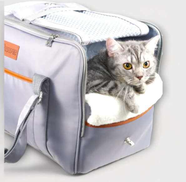 Dadypet Transportbox für Katzen und Hunde Haustier-Reisetasche Grau